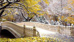 Visite des sites de tournage à Central Park - Photo 3