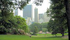 Visite des sites de tournage à Central Park - Photo 4