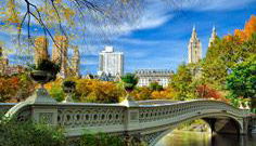 Visite des sites de tournage à Central Park - Photo 1