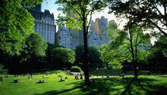 Visite des sites de tournage à Central Park - Photo 5