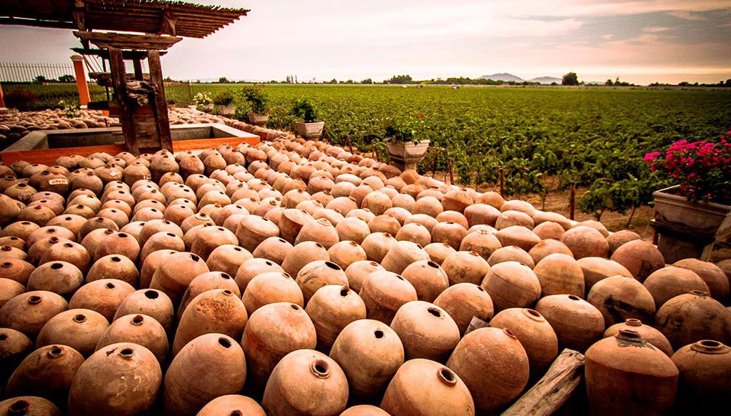 Ica vineyard tour from Paracas - Foto 1