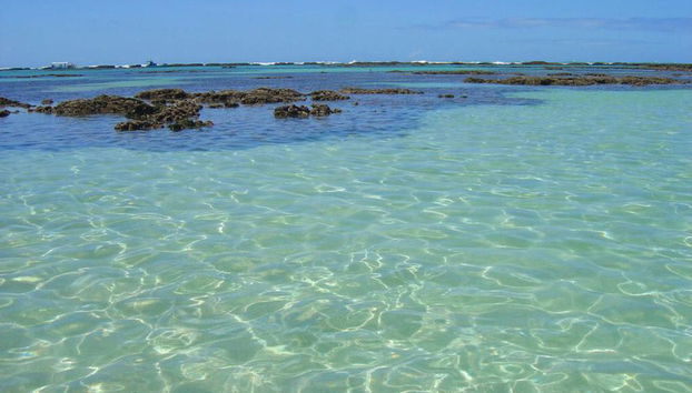 Explore Praia Maragogi - Photo 4