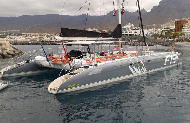 Catamarán Freebird - Directo - Foto 3