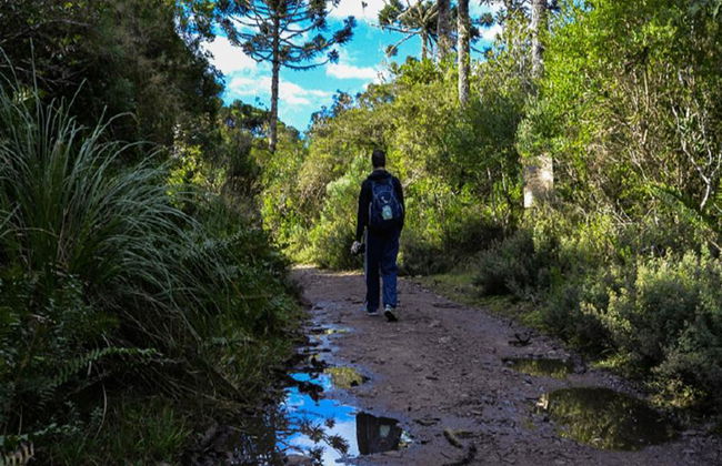 Excursión Compartida al cañón de Itaimbezinho con picnic - Foto 6