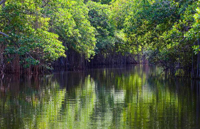 Visita al santuario natural Río Sao Francisco - Foto 2