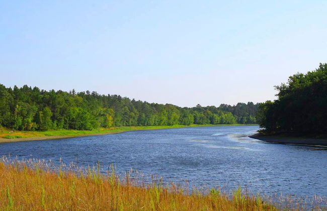 Visita al santuario natural Río Sao Francisco - Foto 4