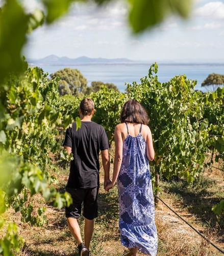Foto de Ruta gastronómica y vinícola Around the Bay