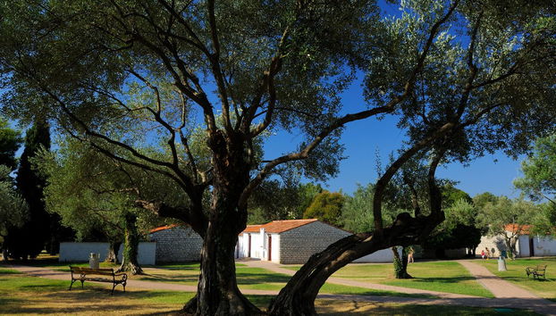 Resort Villas Rubin - Photo 5