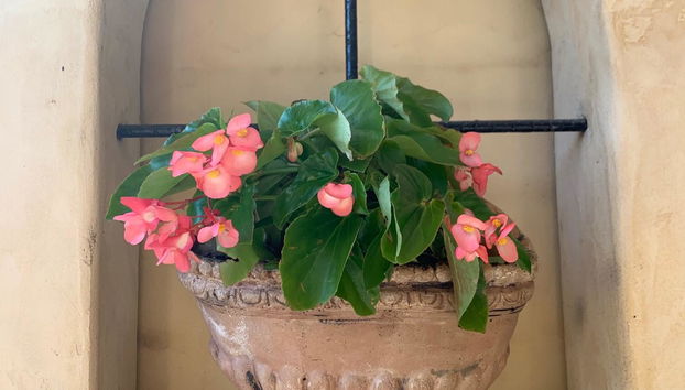 Villa San Michele - Foto 5