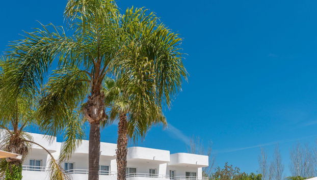 Apartamentos Olive Beach - Foto 5