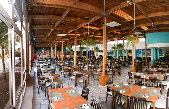 Apartamentos LIVVO Morromar - Photo 12