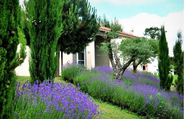 Adonis Les Epesses By Olydea - Foto 8