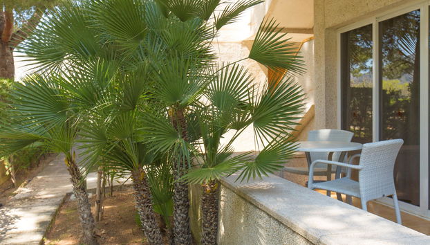 Apartamentos Massol - Foto 3