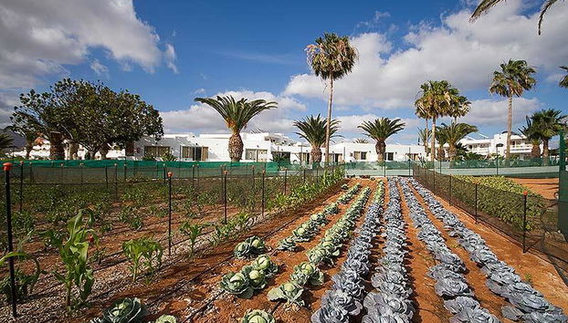 Floresta Apartments - Photo 5