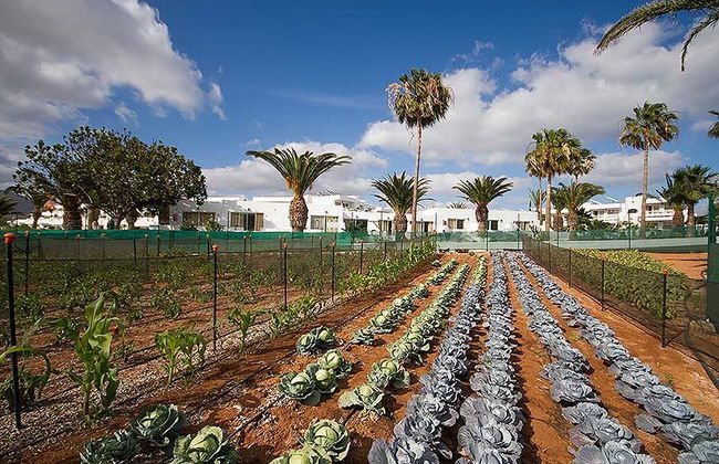 Floresta Apartments - Photo 5