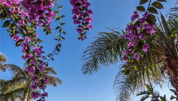 Hg Lomo Blanco Apartments - Photo 4