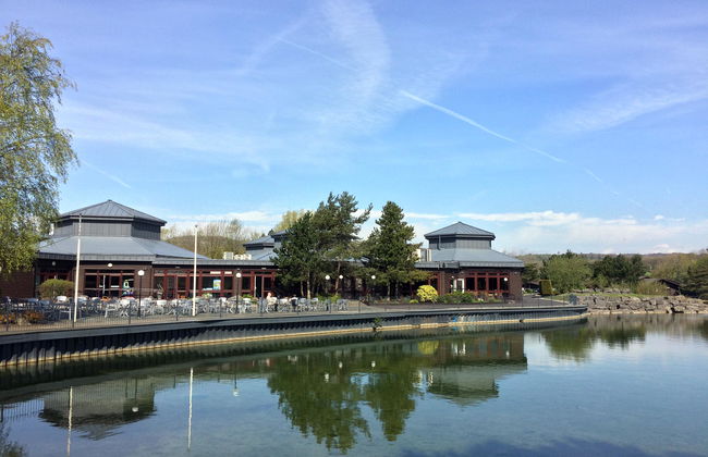 Pine Lake By Diamond Resorts - Foto 49