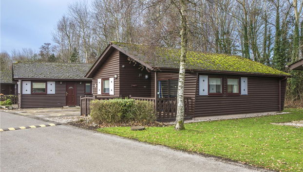 Pine Lake By Diamond Resorts - Foto 5