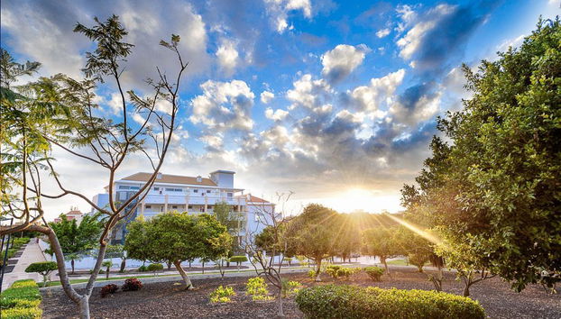 Whala!Tenerife - Foto 2