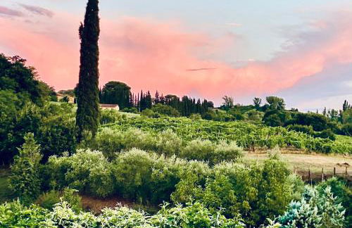 Il Sassello - Foto 15