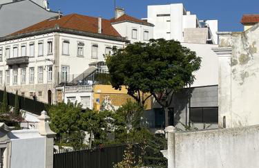 Inglesinhas - Foto 17