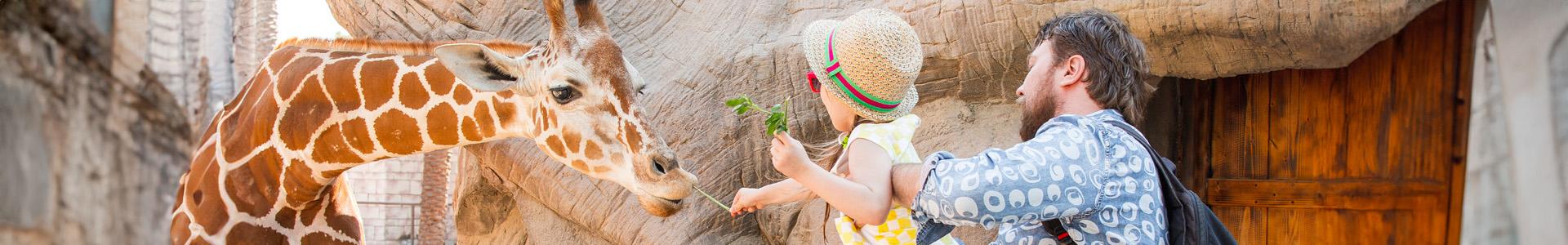 Activités liées à Parcs animaux et naturels