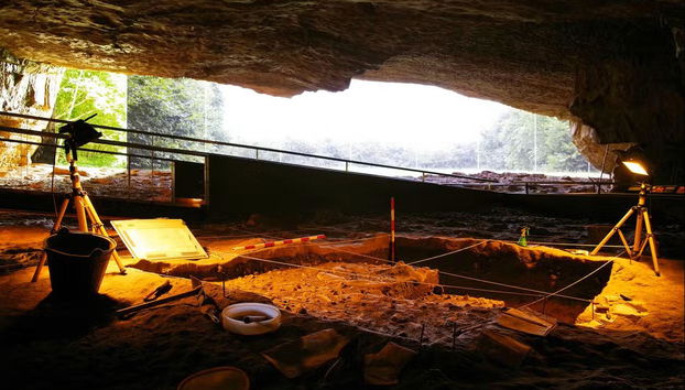 Visita guiada por la Neocueva y Museo de Altamira - Foto 5