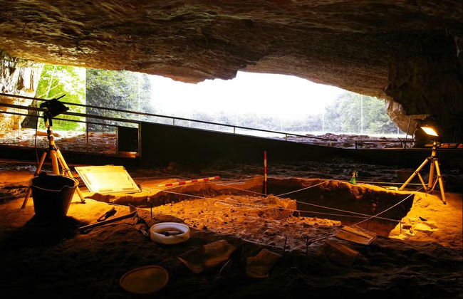 Visita guiada por la Neocueva y Museo de Altamira - Foto 5