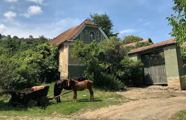 Excursión a Sighisoara y Viscri - Foto 6