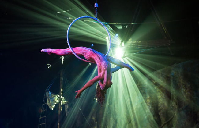 Show Adventure Pirate - Photo 4