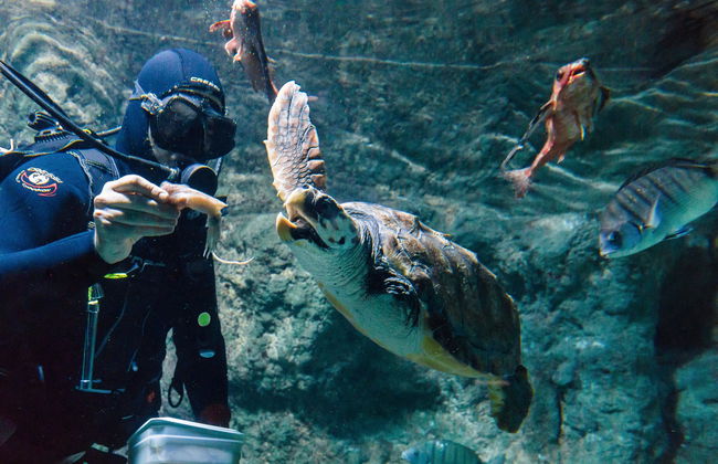 Aquarium Costa de Almería - Foto 6