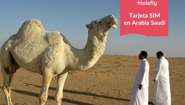 Saudi-Arabien - Foto 2