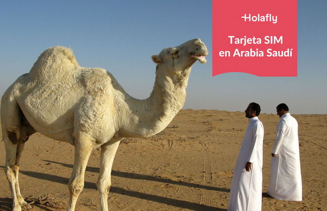 Saudi-Arabien - Foto 2