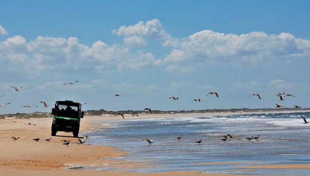 Visita guiada por el Parque Nacional de Doñana - Foto 4
