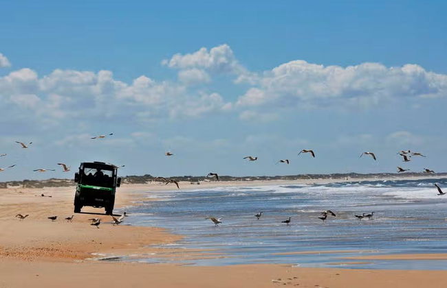 Visita guiada por el Parque Nacional de Doñana - Foto 4