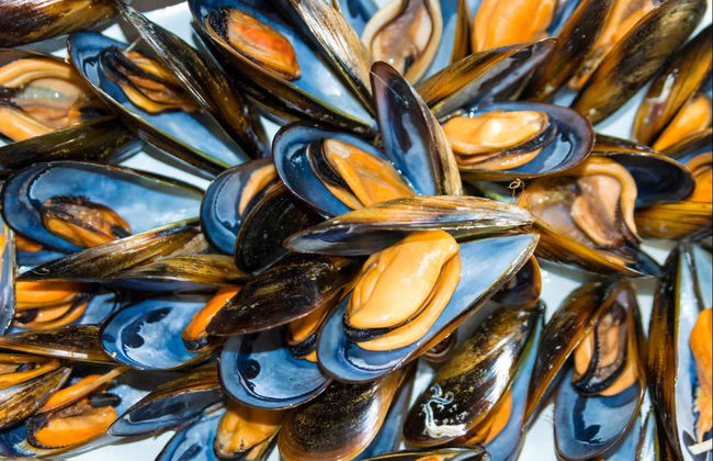 Mariscada y queimada en la ría de Arosa - Foto 6