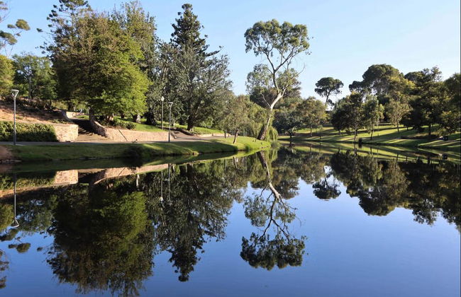 Giro in barca sul fiume Torrens - Foto 6