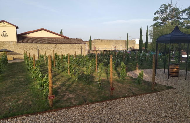 Visita Bodegas Bilbaínas - Foto 7