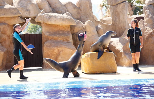 Marineland Catalunya - Foto 6