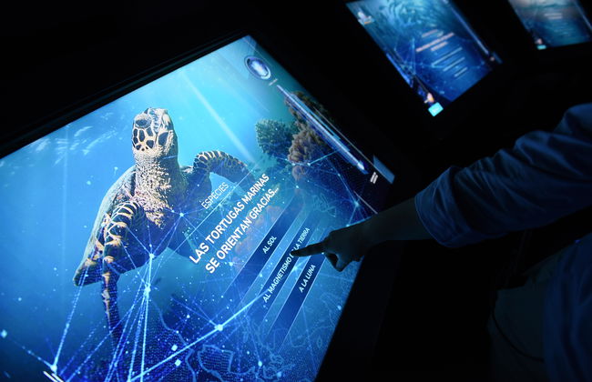 Atlantis Aquarium Madrid - Foto 8