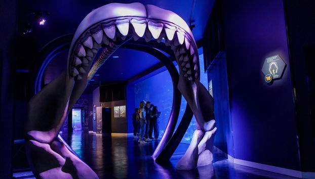 Atlantis Aquarium Madrid - Foto 4