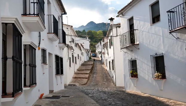 Excursión a los pueblos blancos - Foto 3