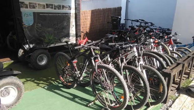 Tour en bicicleta por El Rompido - Foto 4