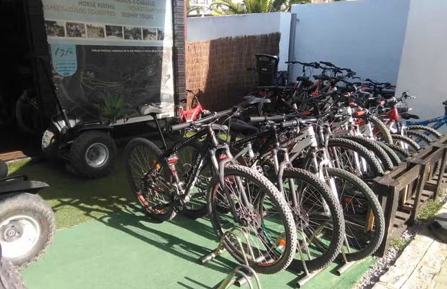Tour de bicicleta por El Rompido - Foto 4