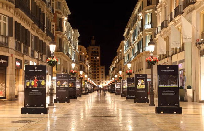 Tour serale di Malaga - Foto 5