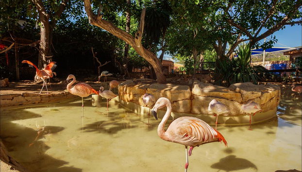 Marineland Mallorca - Foto 5