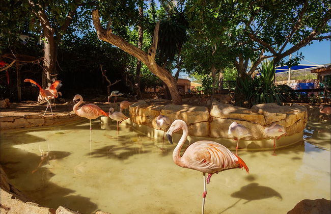 Marineland Mallorca - Foto 5
