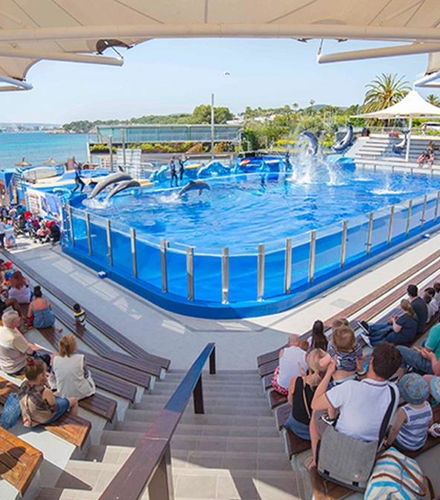 Foto de Marineland Mallorca