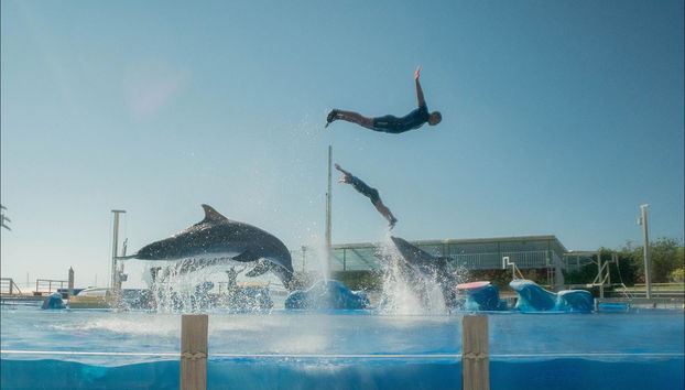 Marineland Mallorca - Foto 2