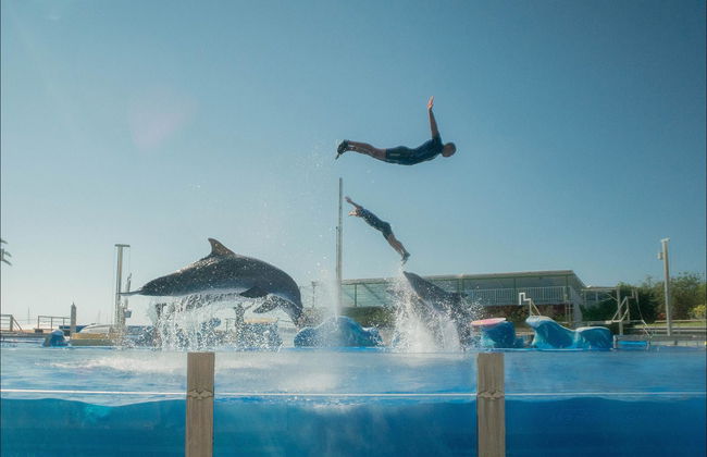 Marineland Mallorca - Foto 2